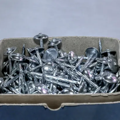 Picture of Roofing Nails (pack 1)