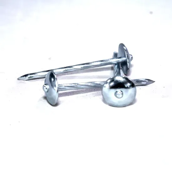 Picture of Roofing Nails (pack 2)