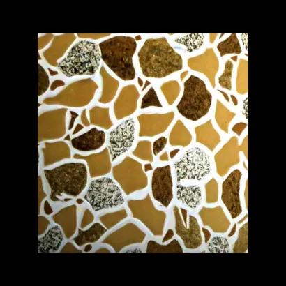 Picture of 30x30 Floor Tile (C)