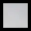 Picture of 40x40 Unpolished White Tile