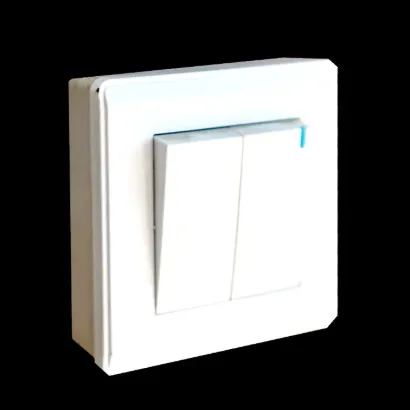 Picture of 2-Gang Switch