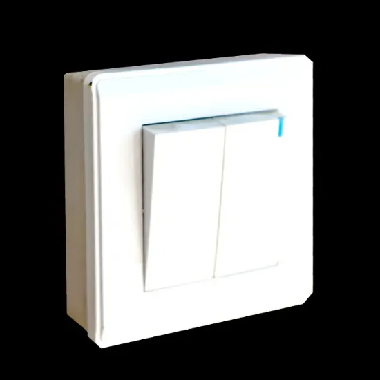 Picture of 2-Gang Switch