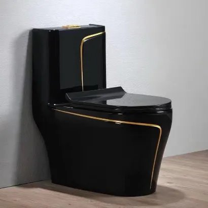 Picture of Luxury One-Piece Ceramic Toilet – Black with Gold Accent