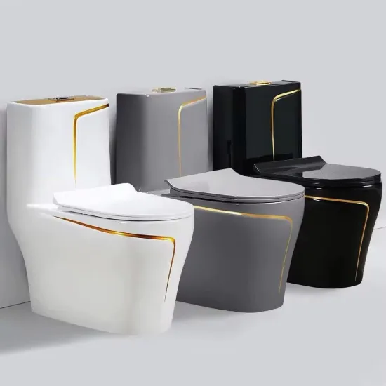 Picture of Luxury One-Piece Ceramic Toilet with Gold Accent
