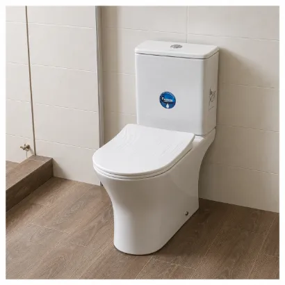 Picture of Modern Close-Coupled One-Piece Toilet