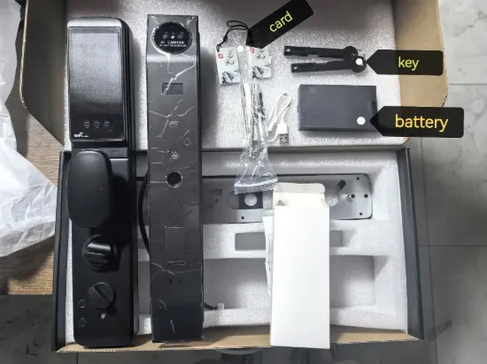 Picture of G&B Z-12 3D Face ID Automatic Smart Lock