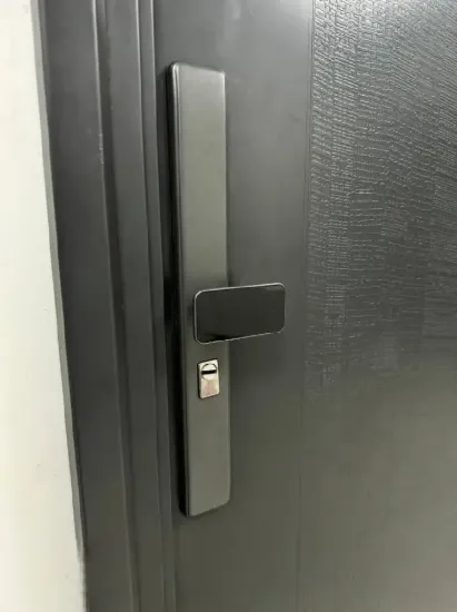 Picture of G&B Security Door Handle - Type 3