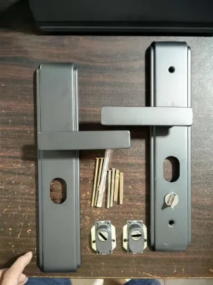 Picture of G&B Security Door Handle - Type 1